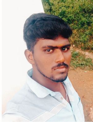 பா.நாராயணன்